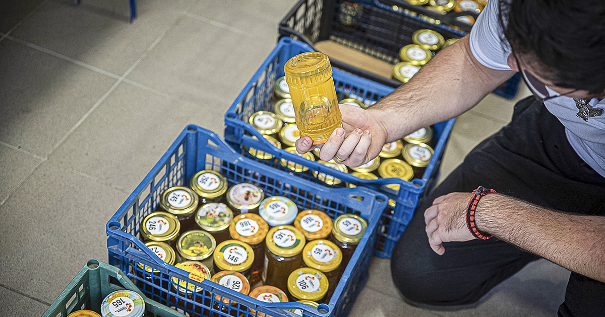 Jó termés alacsony áron